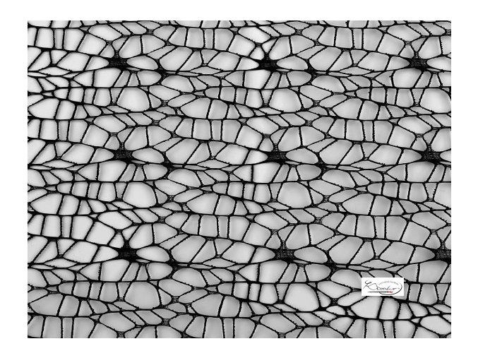 Dekorační bavlněná metráž pavučina 100 x 160 cm - černá